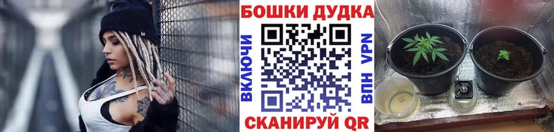 Где купить наркотики Лодейное Поле Бошки Шишки  Мефедрон  Cocaine  Галлюциногенные грибы  ГАШИШ 