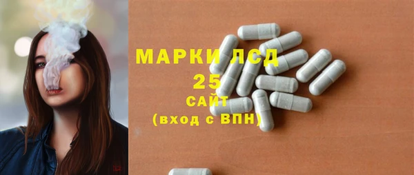 гашик Магас