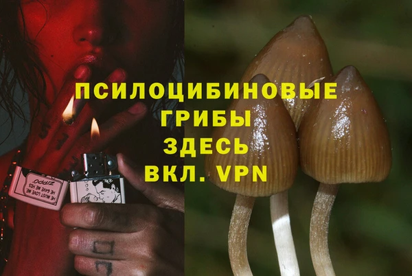 гашик Магас