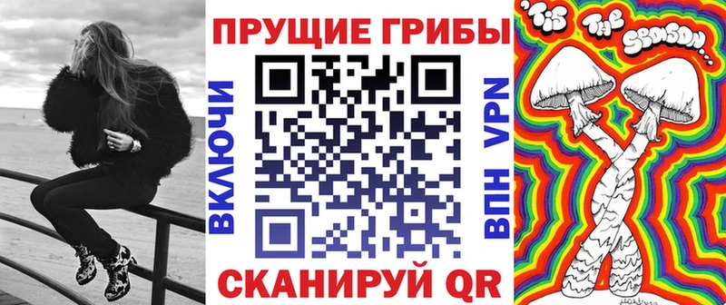 Галлюциногенные грибы Psilocybe Лодейное Поле